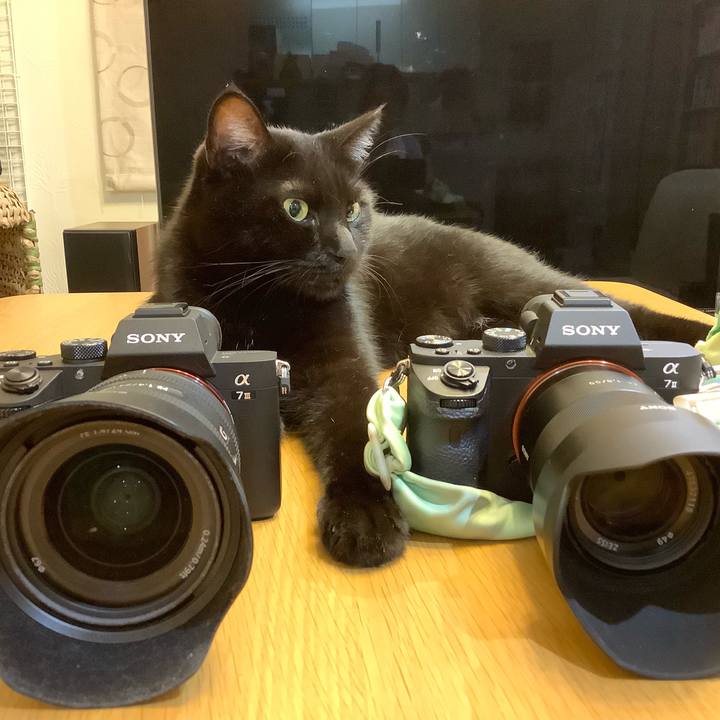 Fea816b7 0e04 4f25 a0df 61eb57820784 1566135388236