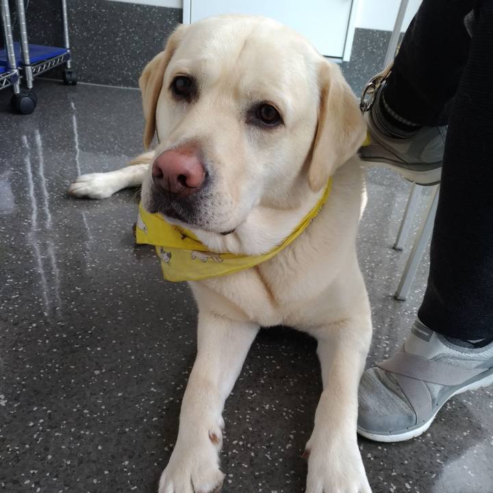 Fea85416 cc1e 47f7 b380 bc8c8c4bc68a 1555224898150