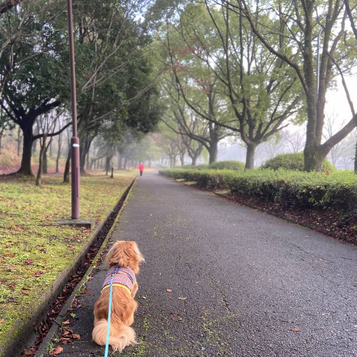 Fea855b3 1494 44f9 9d74 79a89d1dd96d 1577754011766