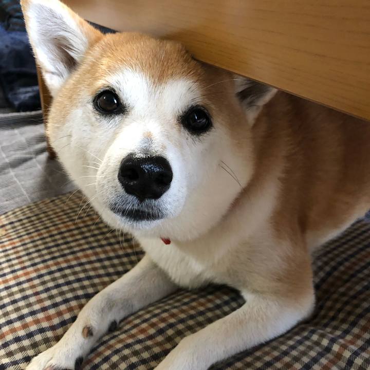 Fea88e6f 7436 49be b100 8e9c9037c2be 1602378964826