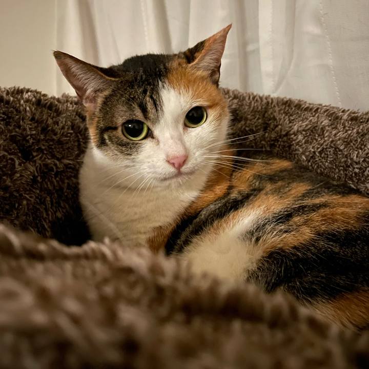 Fea8cbd4 645c 4063 93de 17c5ffb0ef83 1680359104635