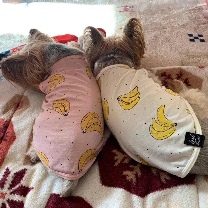 Fea8eb69 33ca 441d b242 1cd56ca8c43d 1638438777496