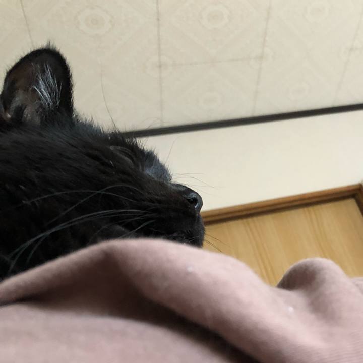 Fea8ef1d 5de1 4c53 8277 c0e906fb1692 1614468095013