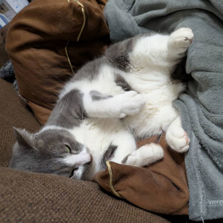 Fea90705 98a5 468a 9e94 efefdd656006 1743160724706