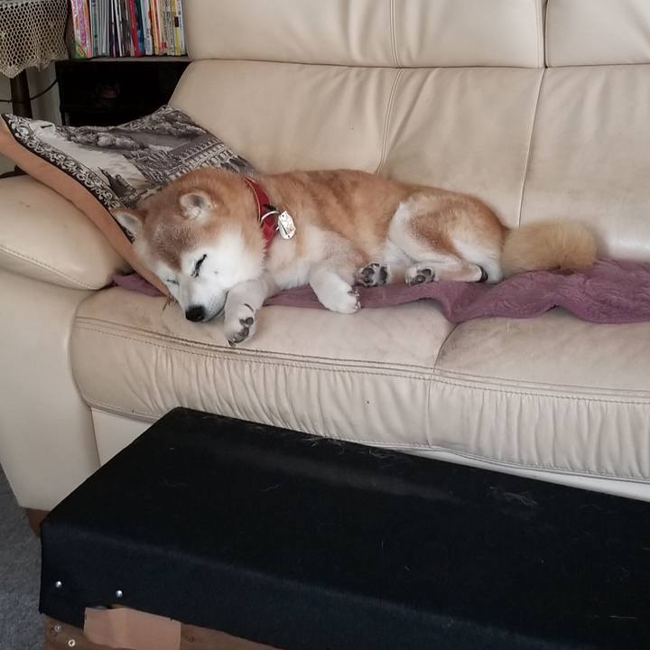 Fea912fe e7b3 4341 9ab9 159755ab7871 1757221675900