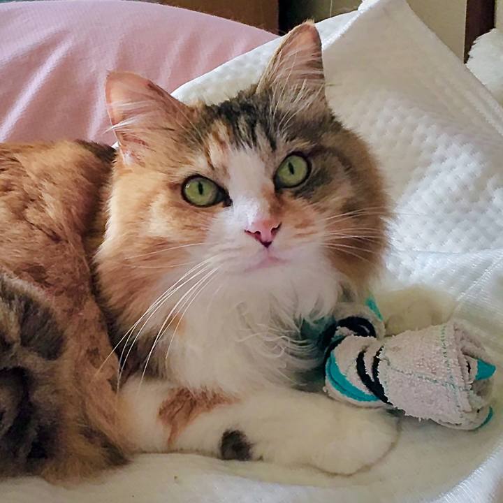 Fea917ee 9d55 45fe bdab 181a3e88b191 1636274820506