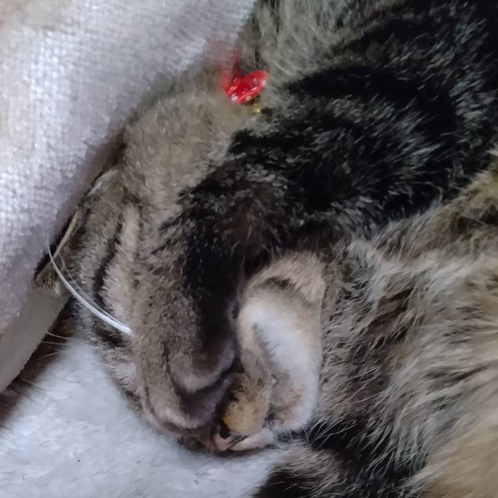 Fea9186d 3d7f 4d5e 8f08 9d8aa60710ce 1671070874195