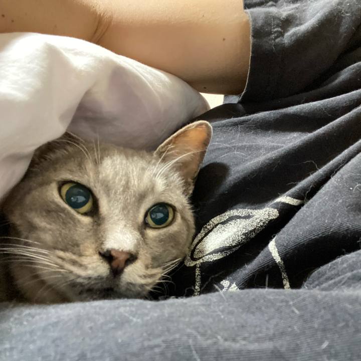 Fea92b3a 24ae 4c8a b296 2c931949e27e 1623980423133