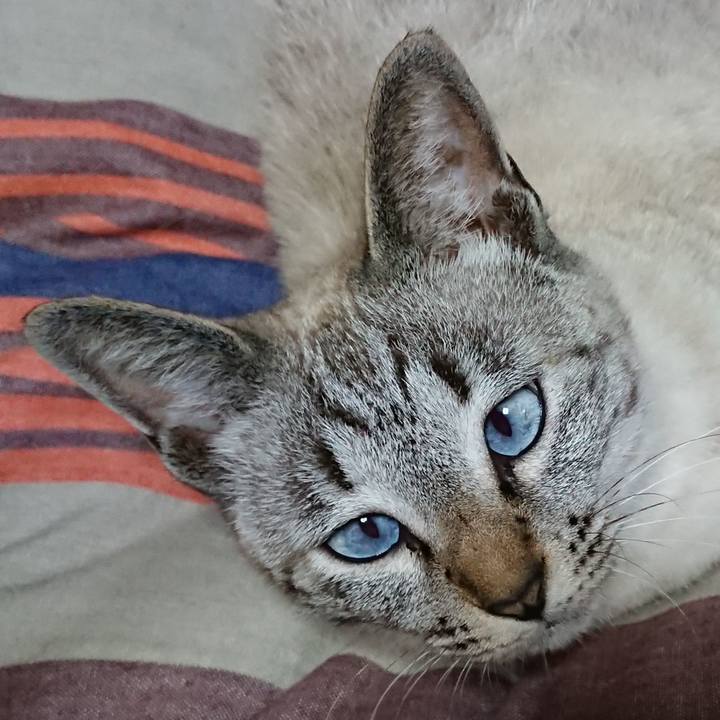 Fea92d12 ea1e 4963 b491 240d18f88047 1529800674936