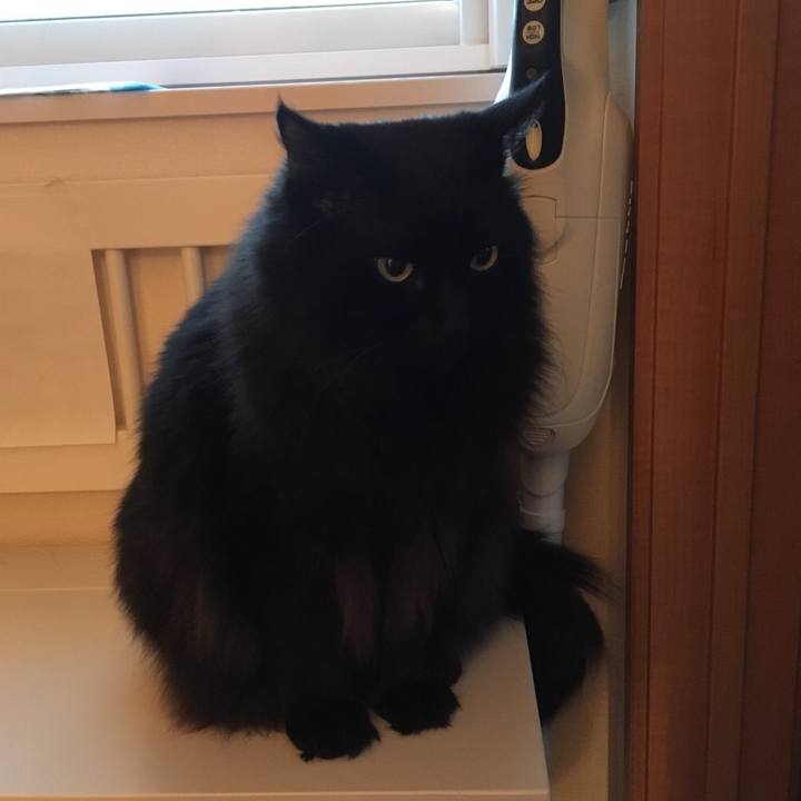 Fea94afc b297 46ab ae29 b70b6b7f58e1 1543068668964