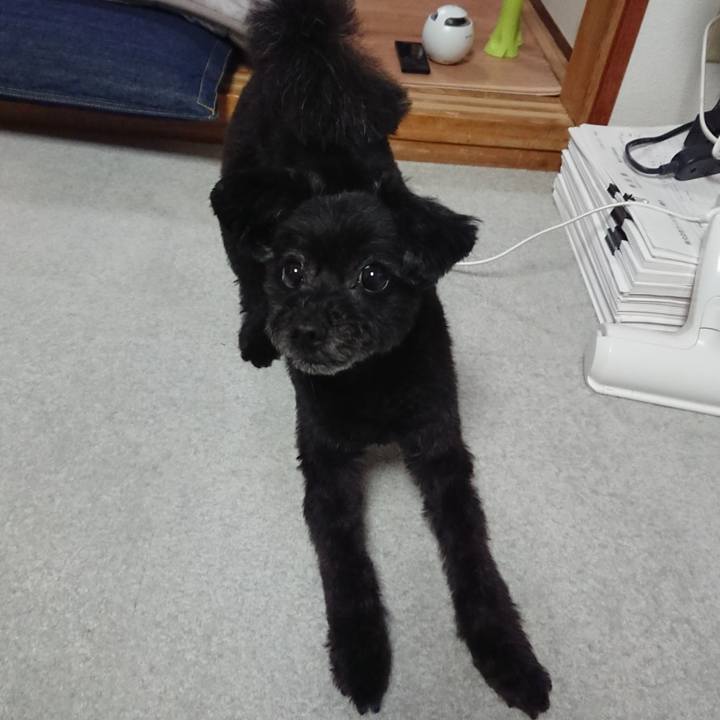 Fea9505d 8ffe 4273 b71a 880e2a3f3393 1526206625330