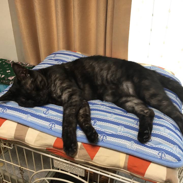 Fea95873 2951 45dc bc76 6f919442bc5a 1568004253109