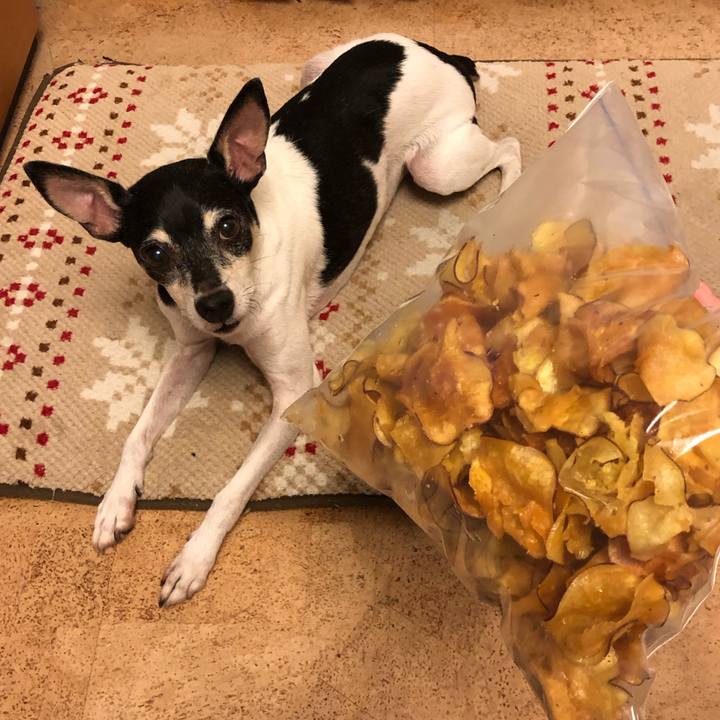 Fea961a6 6974 4d04 8280 f9e47d09a6ac 1569276718413