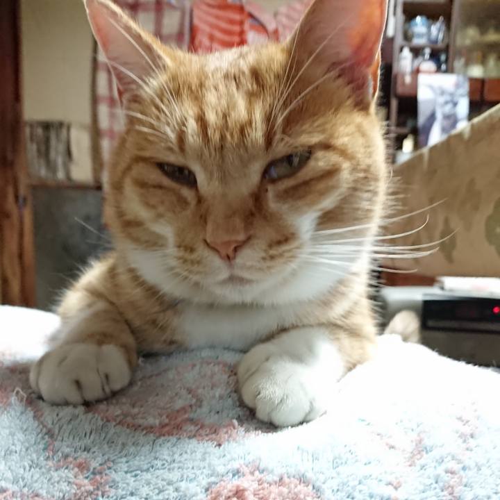 Fea97b8f ef72 4dab 90da da7365389236 1606632660943