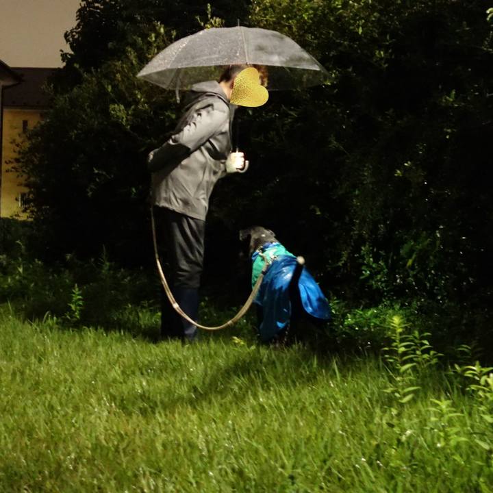 Fea98808 0318 4026 af7d b4398eac2bd7 1730547693119