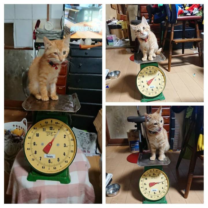 Fea98fcd 442a 45e4 a65e dc729bb09bb1 1635246352785