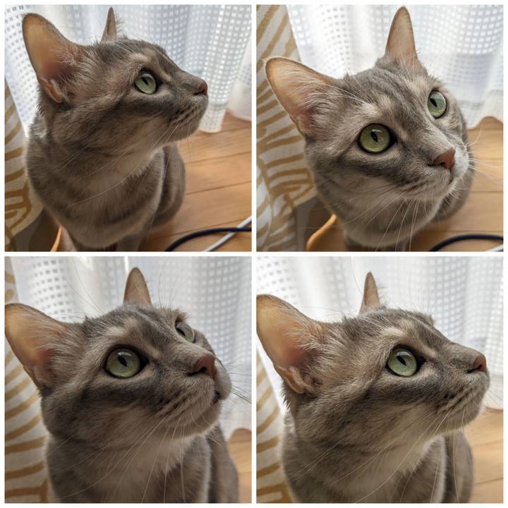 Fea99b9f 4442 49ef b630 83c3481492fb 1680326192169