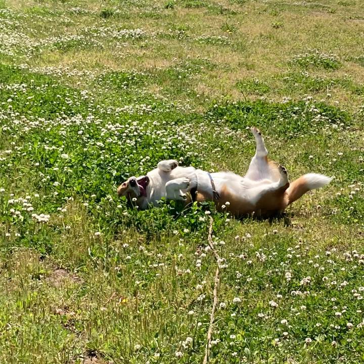 Fea9c30d 33b6 4937 a2de 561ea9b4dc76 1682642059805