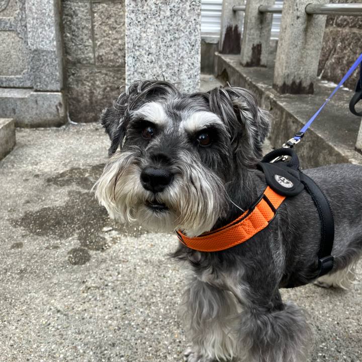 Fea9ca94 5435 4c83 8b8b 069e28680825 1723787095109