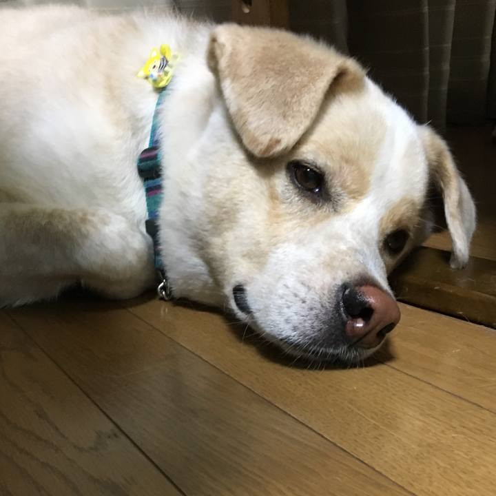 Fea9d9f0 e207 4195 a98d f67796fa7f69 1530874061846