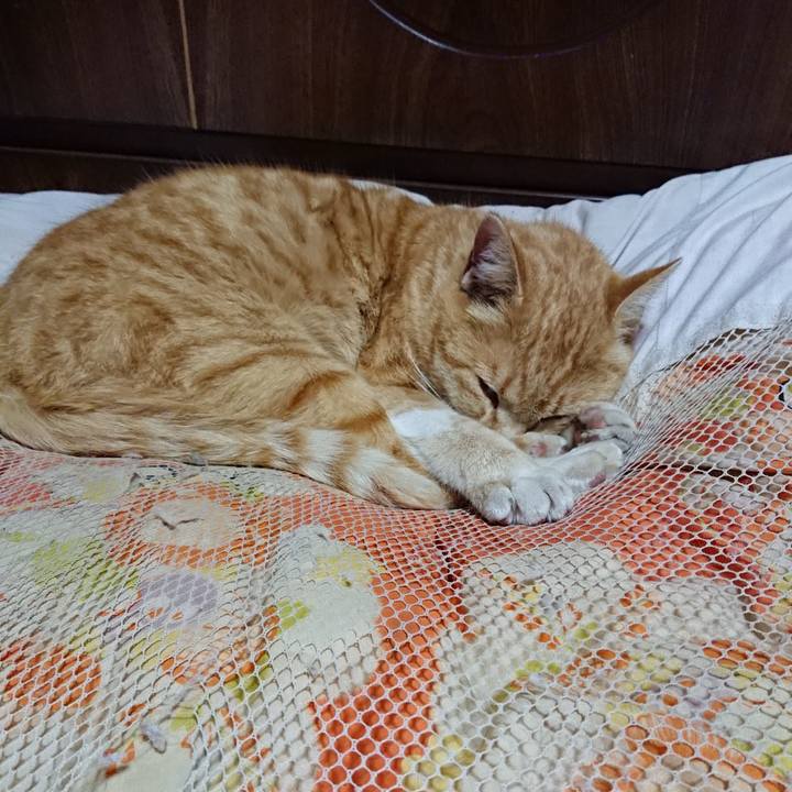 Feaa04b4 6de7 4ae6 a8dc 12bb008470b4 1585312149629