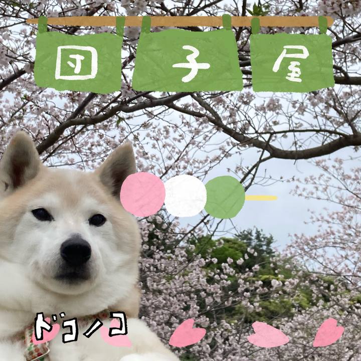 Feaa101b 2407 4696 91e0 0e70ceb880cc 1712680934158