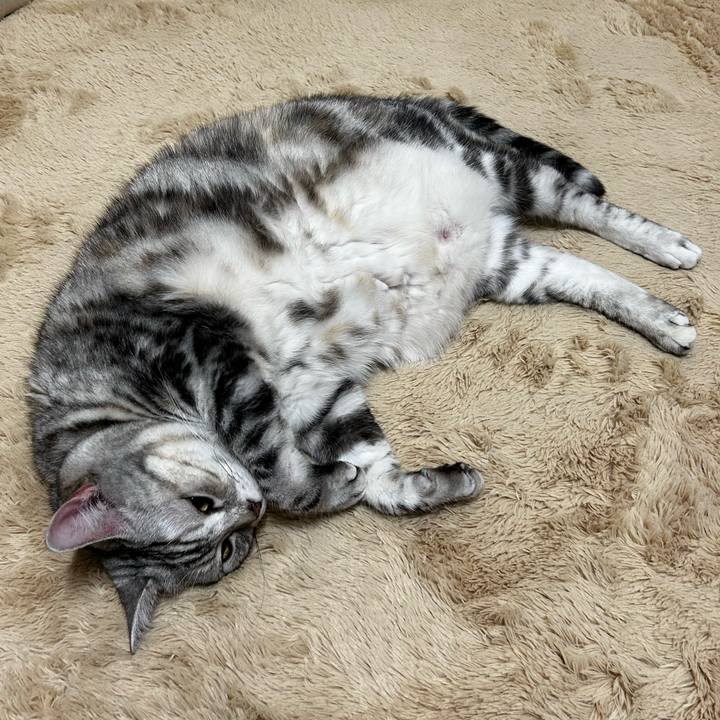 Feaa157c 04e5 4f1e b1cd aef5f727d120 1765232888501