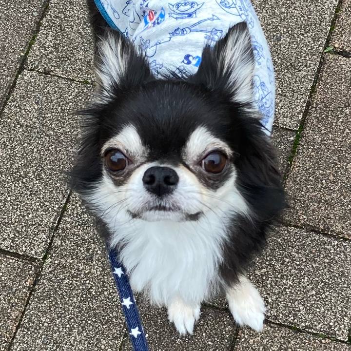 Feaa16ab 4dc9 47ce 815f 63046074e1f5 1650718836558