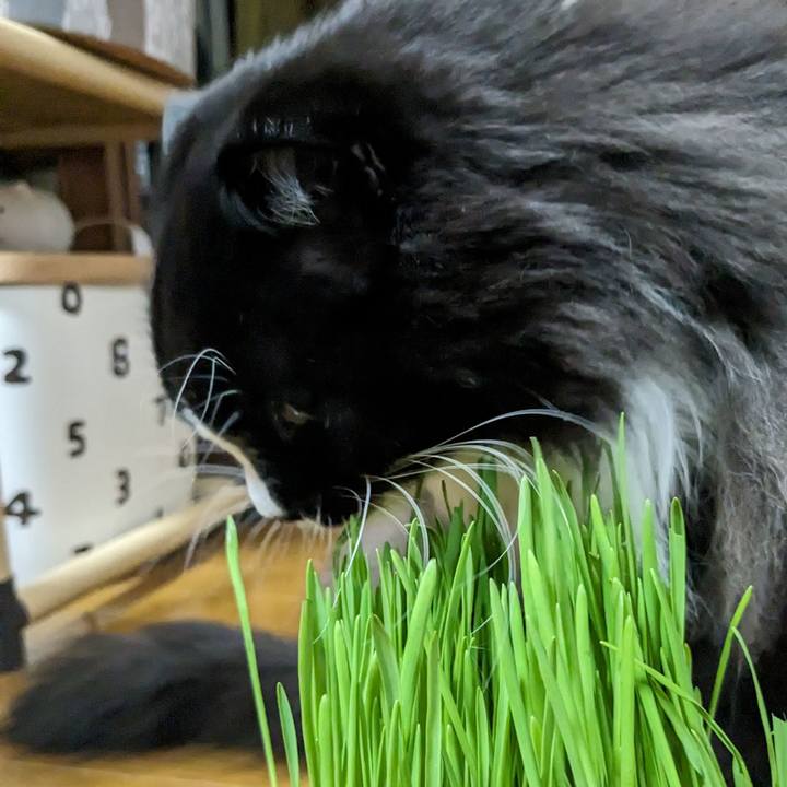 Feaa174b 89ee 462e 8a1a 1e994ea5fd04 1701260746880