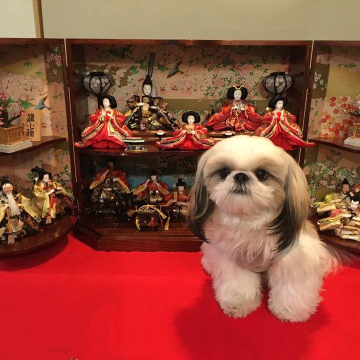 Feaa1bc8 4322 4e3e 92b5 b451929b0cd8 1552052754202