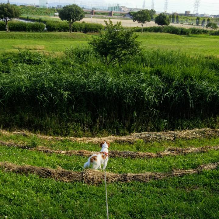 Feaa3b17 6625 48b5 a23b 9d5b3ca510d0 1530273744815