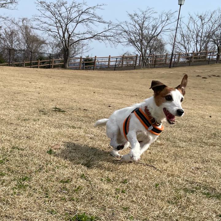 Feaa5320 ed91 4f33 a07b 40e2bda90f1c 1774139187169