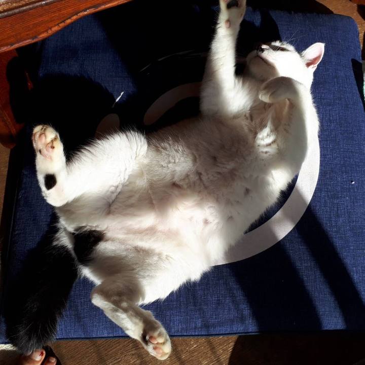 Feaacfbf 511b 4be2 b73d 81733ec5c3f4 1636963824768