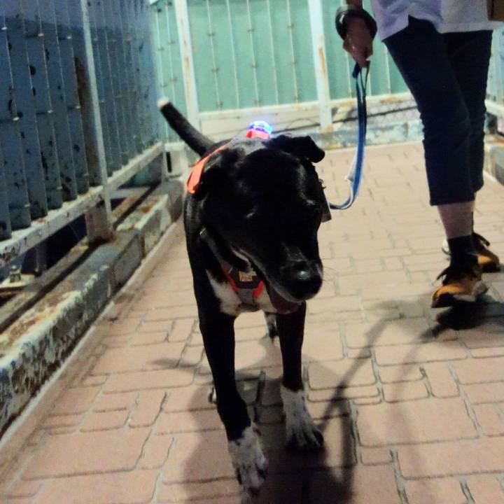 Feaad6ed a4a8 45b5 bbcf f7d808e55e30 1729163217372