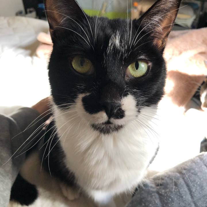 Feaaf874 031b 49b9 9cbd 24799a2bb29f 1545631606750