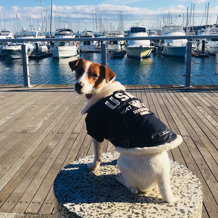 Feab065f 52c0 43d7 90df 17c177e10c9f 1515137653202