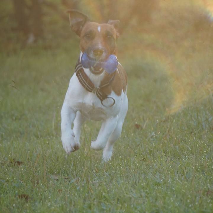 Feab0810 df76 409a 9c12 74c6af353085 1509057050166