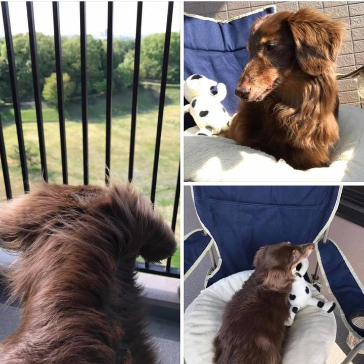 Feab4349 4b8e 4040 8327 ba33ba37ea12 1619318885691