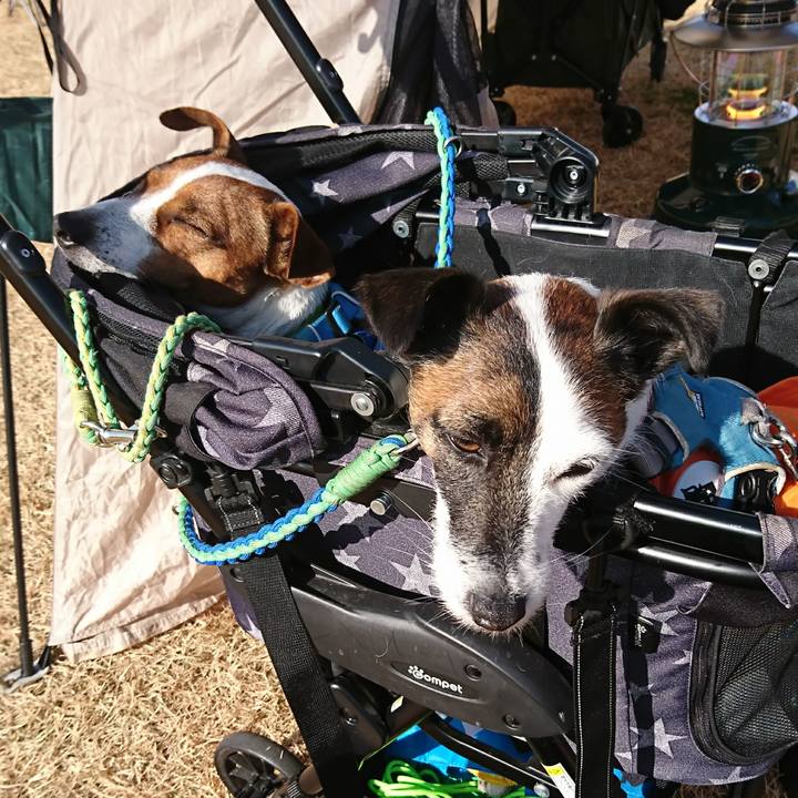 Feab4ae1 bb22 45cf ae86 2868132333a1 1607826927554