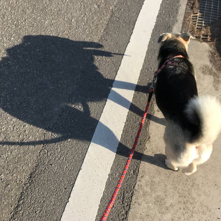 Feab577c 0fd4 4f43 9db3 d6c999d1bb2f 1522228426870