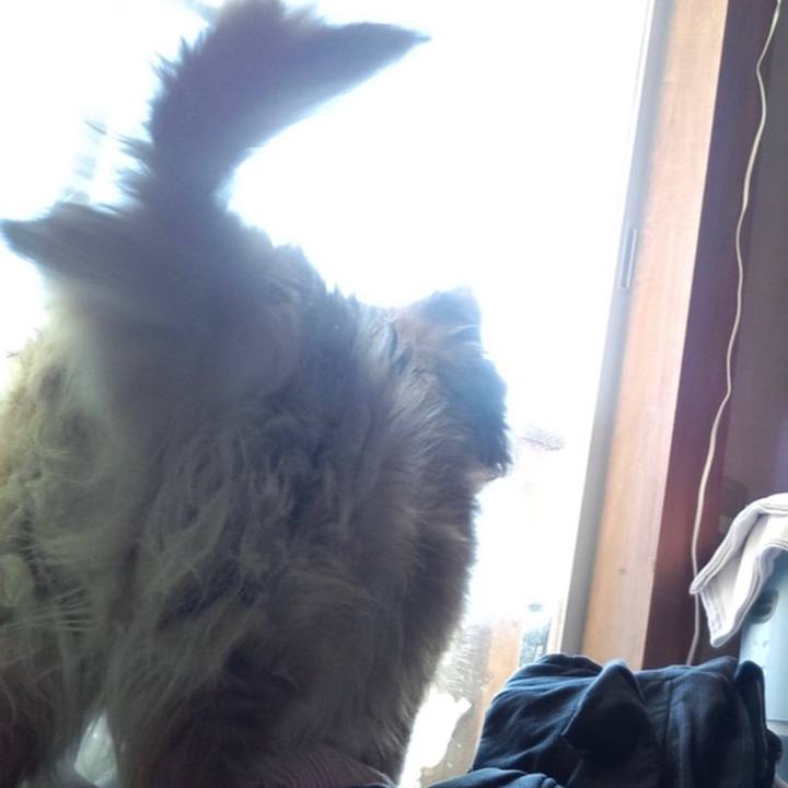 Feab5886 6339 4935 989d 40bab91a446a 1585024607843