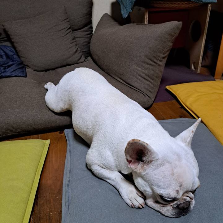 Feab6590 4778 4a14 961b 9f15b9d389c3 1695985433657