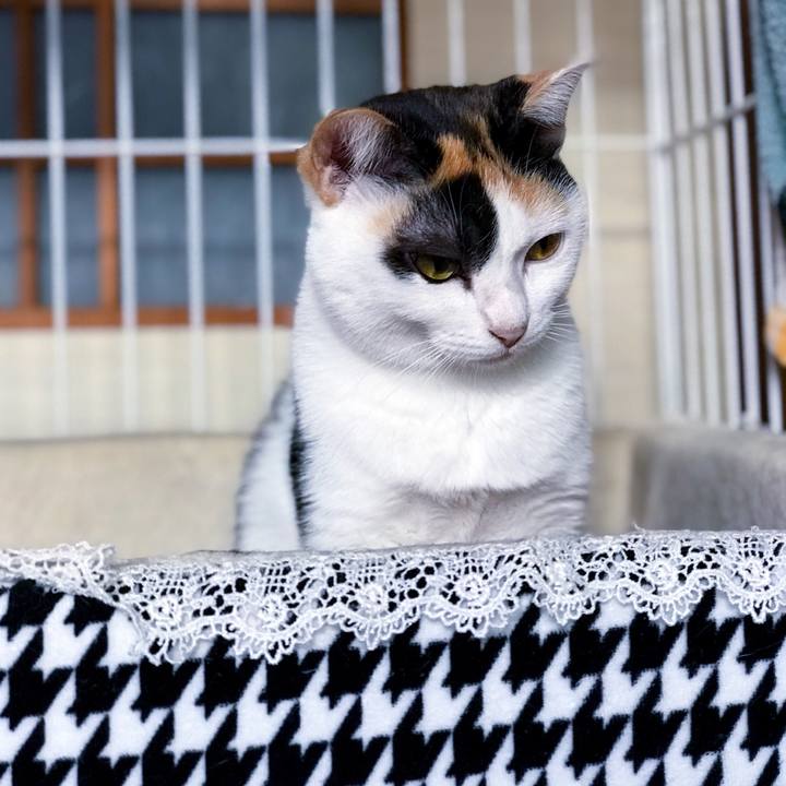 Feab873d deb2 419c 8178 73b472d2e571 1509781825558