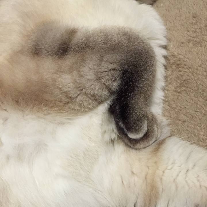 Feabad48 bc93 4ed5 9ea3 baaf388f9e28 1547376114974