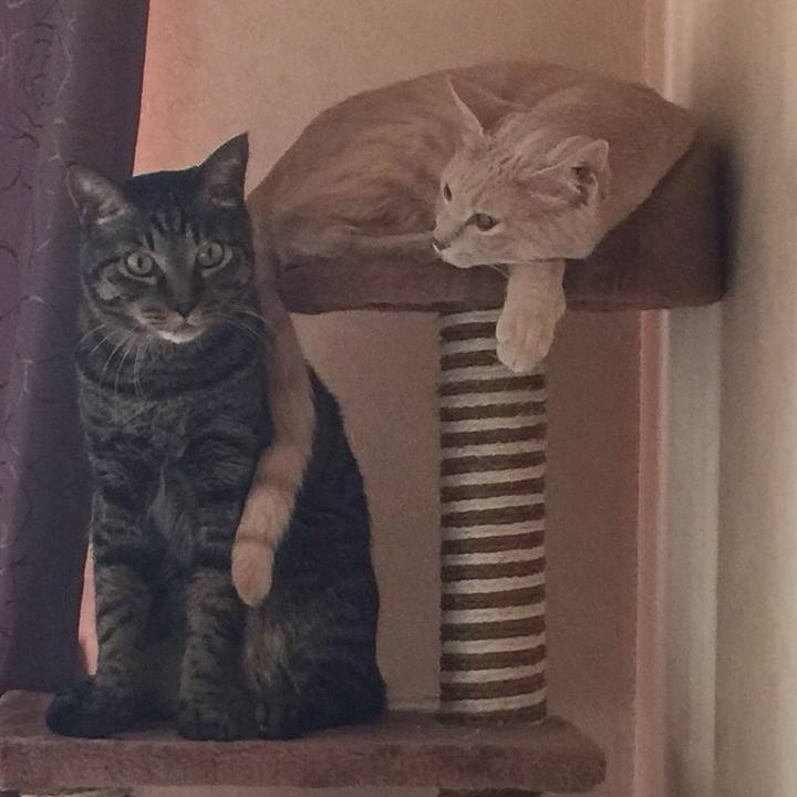 Feabc43d 71db 45fd 9b21 97d50fa43fd2 1706357625973