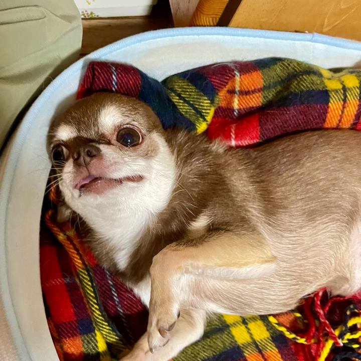 Feabca04 1190 4924 95a6 c26cab212716 1760511433925