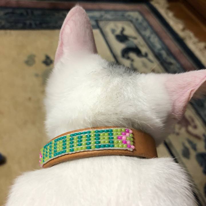 Feabcffa 5cd7 4aba 92b9 4a3b61b2e911 1601449642099