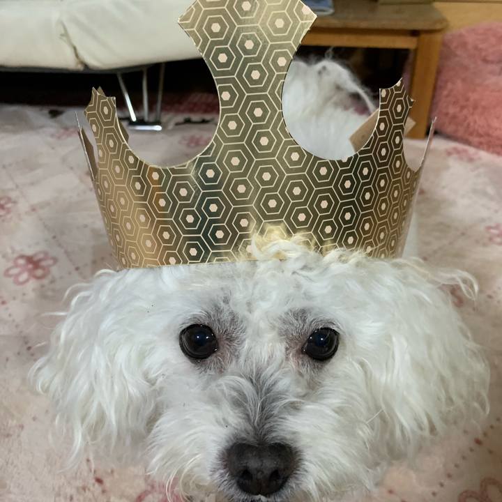 Feabf5cc 044b 49e3 accf 5f24f494cb20 1612693715217