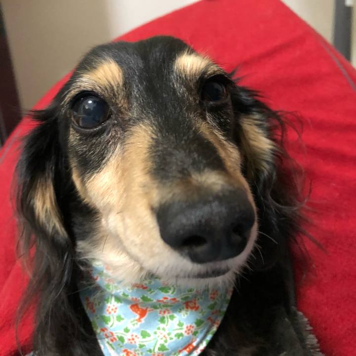 Feac034c 3aa8 428f a854 49f6f1d0dfc8 1571962880243