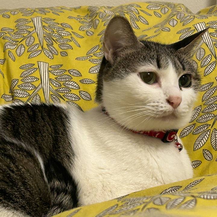 Feac1ab7 2a00 4ce4 a103 c17289b2cb6c 1762043868221